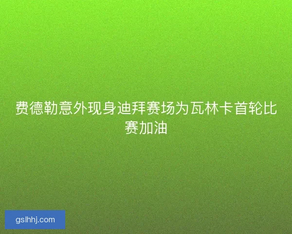 费德勒意外现身迪拜赛场为瓦林卡首轮比赛加油