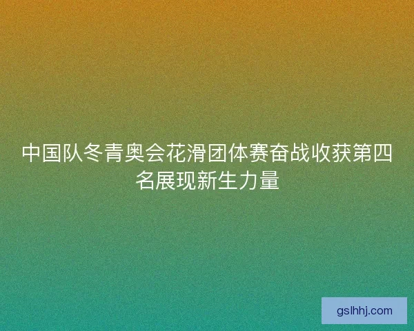 中国队冬青奥会花滑团体赛奋战收获第四名展现新生力量